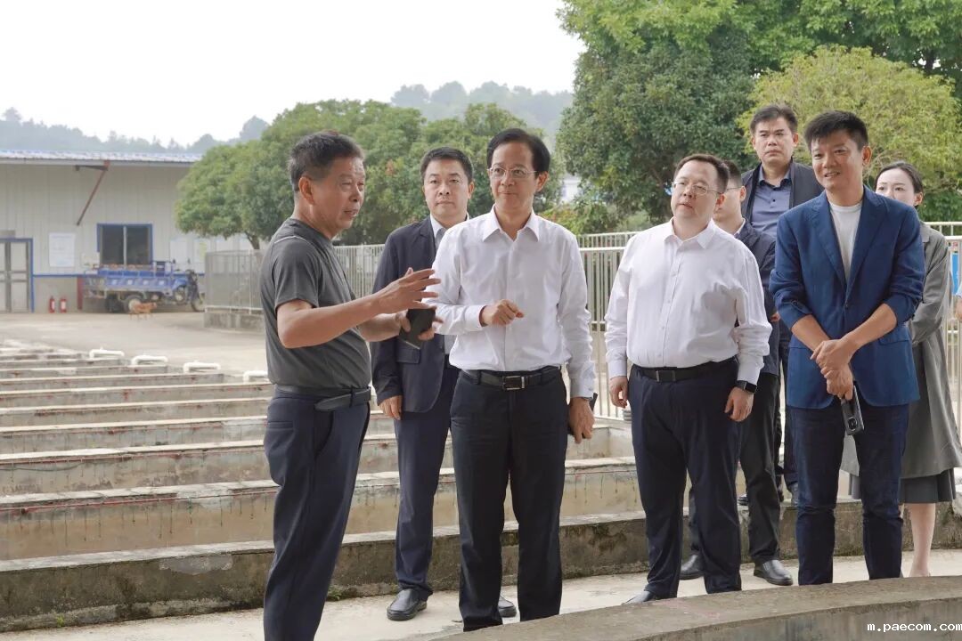 开云电竞大平台政府主要领导调研村庄规划和全域土地综合整治工作