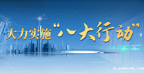 八大行动